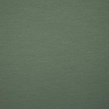 Preview: Swafing Maike French Terry Uni Altmint 265
